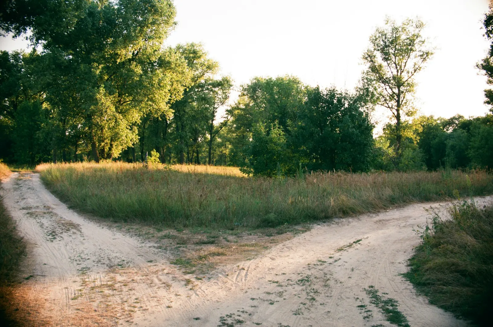 Country road splitting in two directions