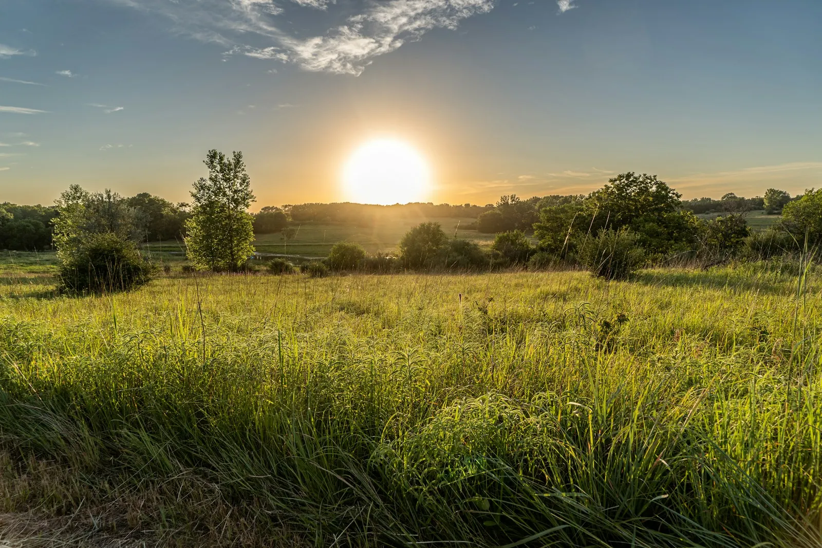 Sun rising over open prairie grass